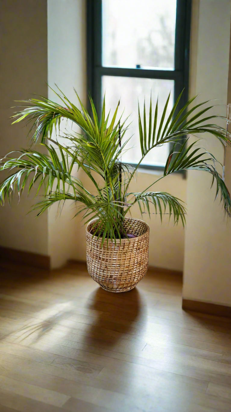 Planter