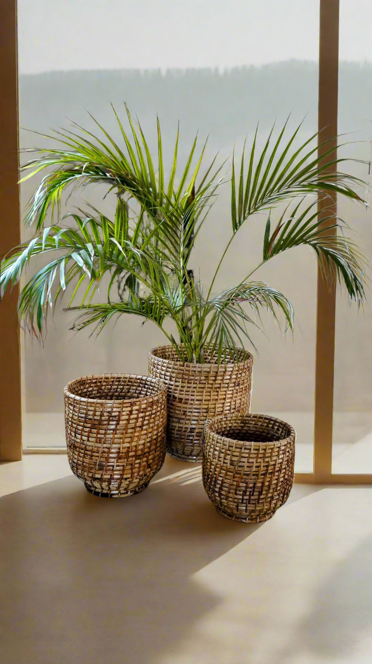 planter