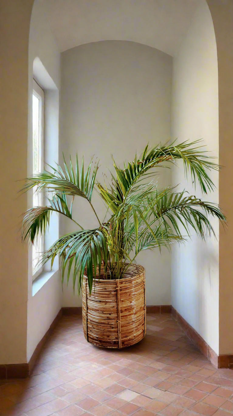 Handwoven cane planter – Design 2