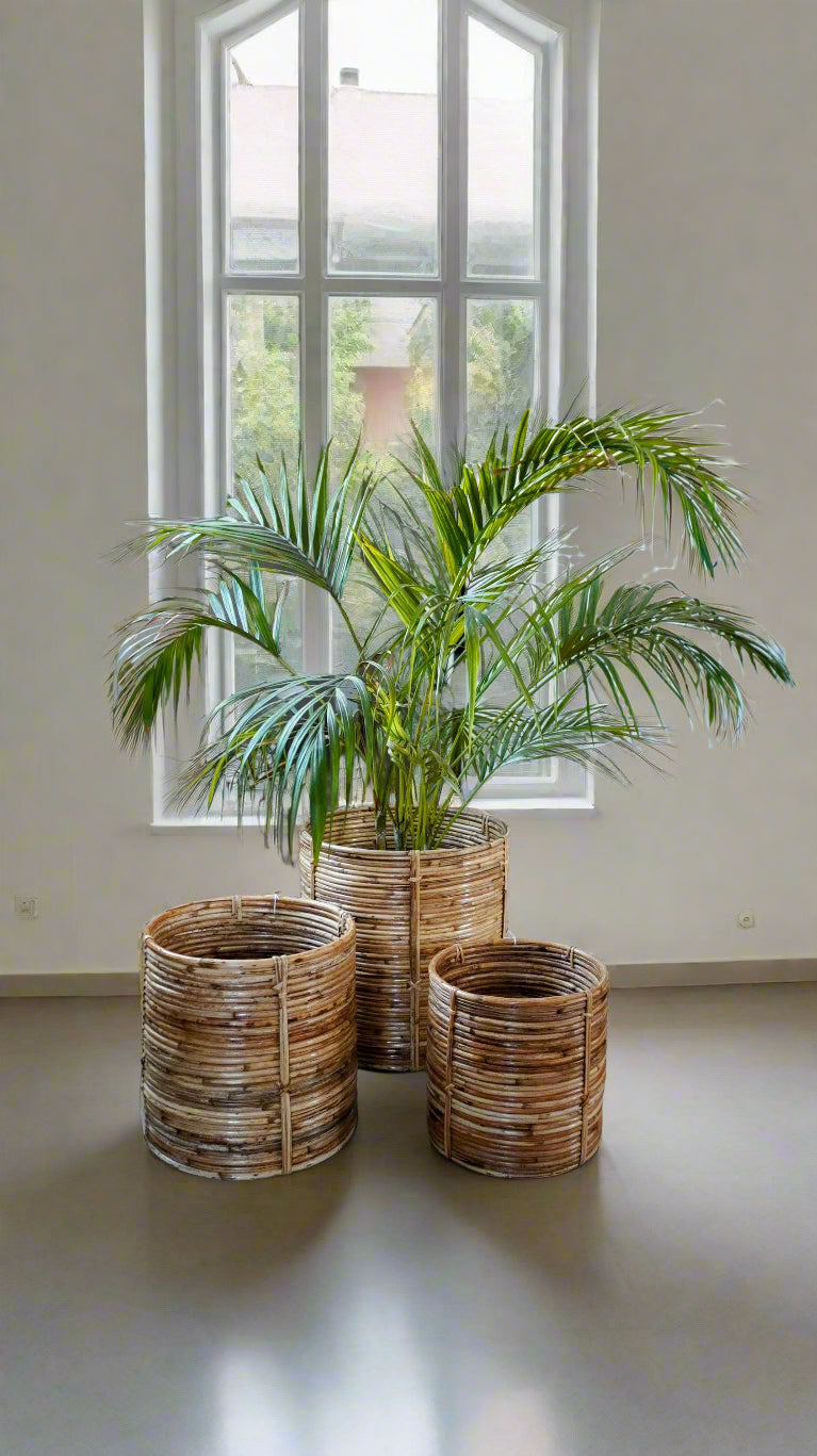 Handwoven cane planter – Design 2