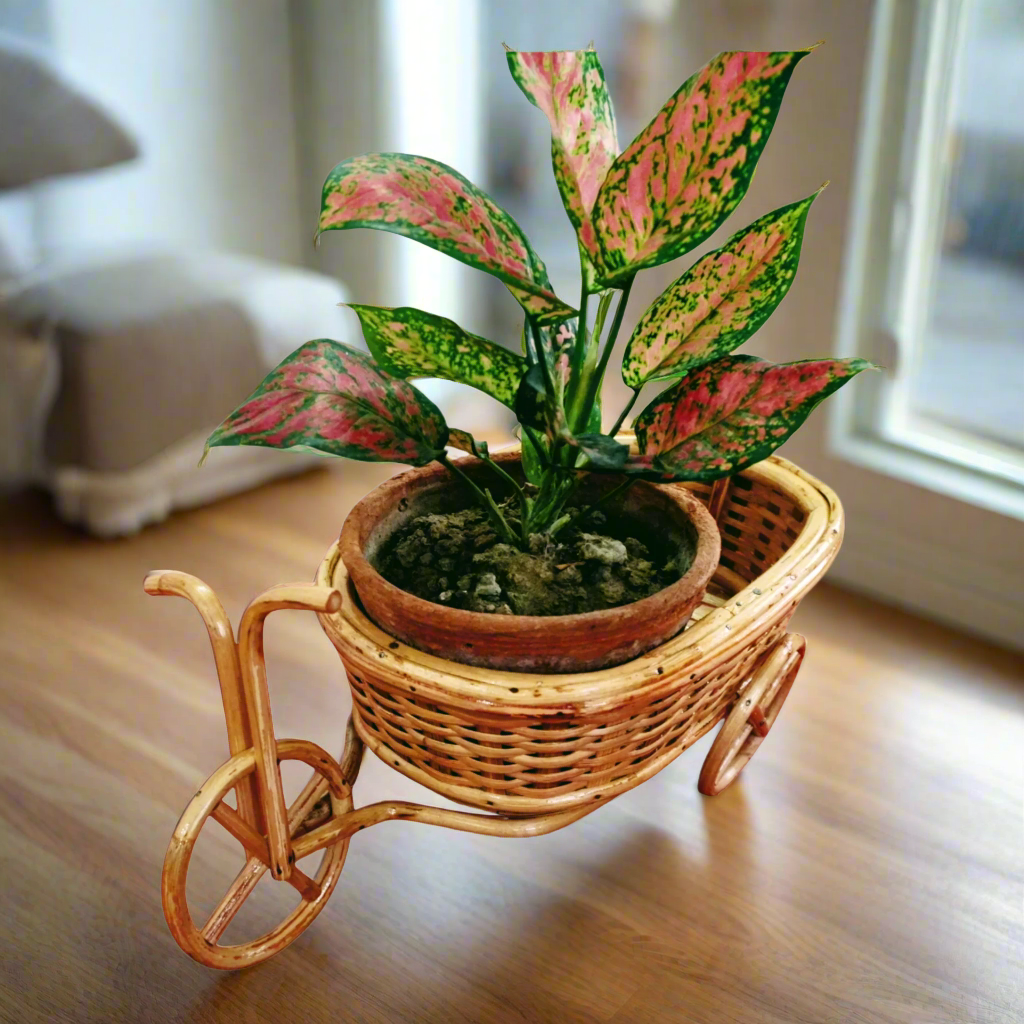 table top planter