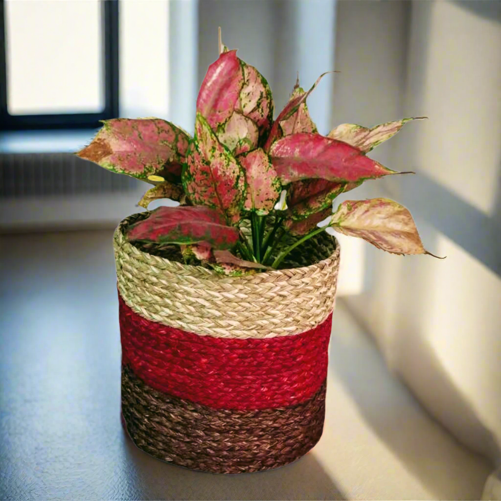 planter